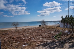 Natürliches Strandgut