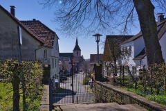 borgholz_3