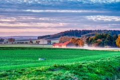 Landwirtschaft in der Börde