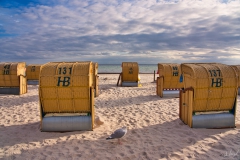 Strandkörbe an der Ostsee